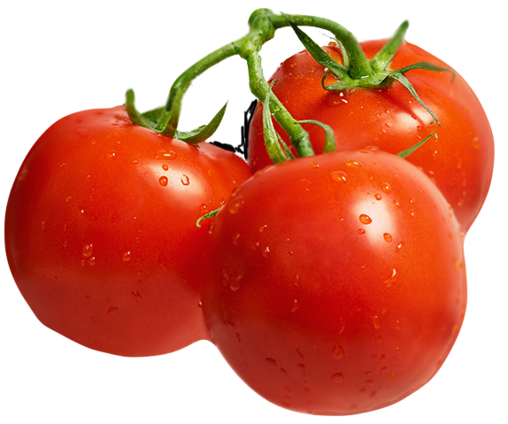 Blurred Tomato